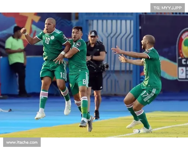 非洲杯今日赛事、非洲杯今天比赛